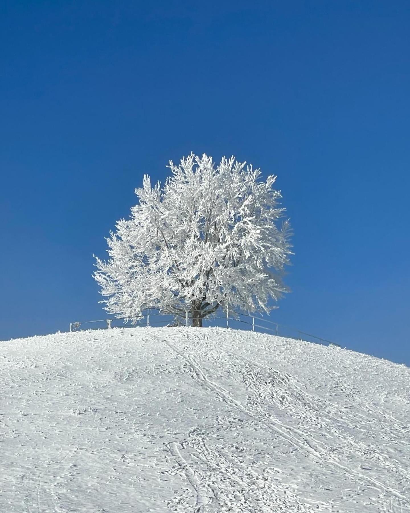 Am Kohlenberg Daire Waldburg Dış mekan fotoğraf
